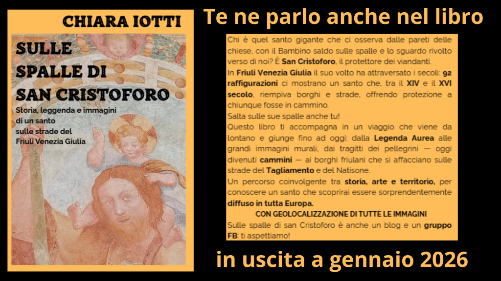 Banner libro in uscita